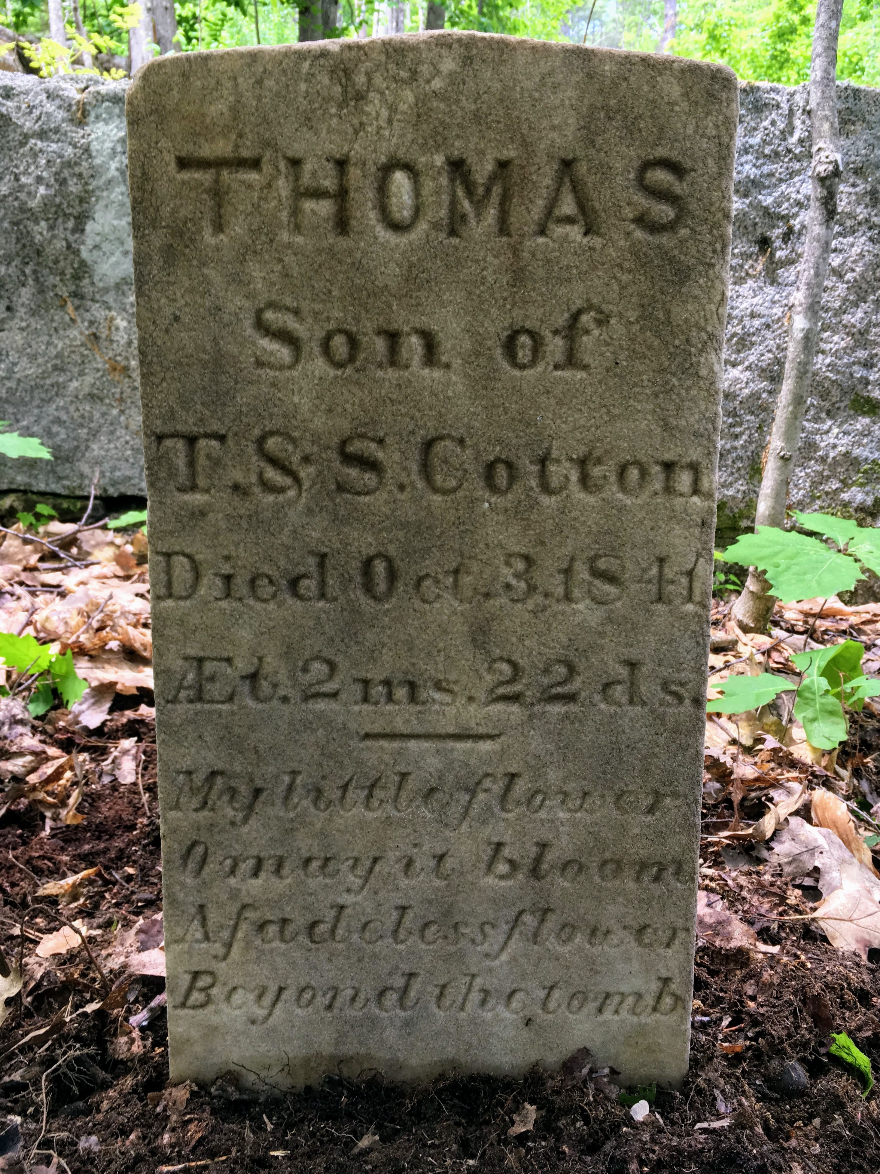 Cotton Cemetery (Thomas) - Brownfield Maine Cemeteries